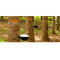 Natural Rubber